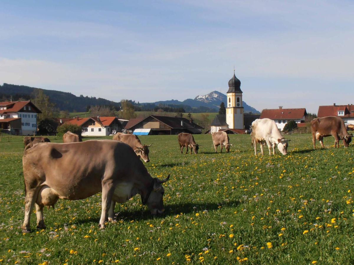 Fewo Herp Oy-Mittelberg Bagian luar foto